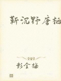 靳沉野唐栖雾