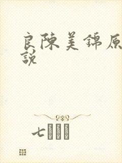 良陈美锦原著小说
