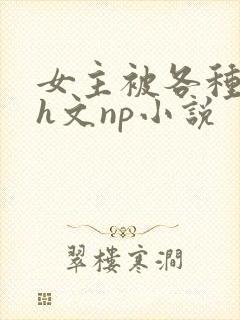 女主被各种调教h文np小说封面