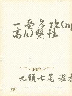 一受多攻(np高h)双性