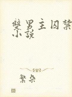 双男主囚禁高h小说