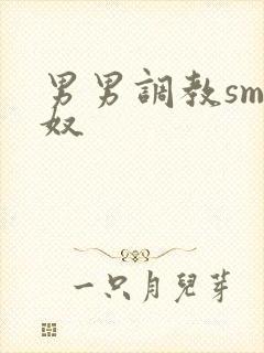 男男调教sm男奴