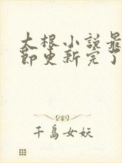 大根小说最新章节更新完了吗