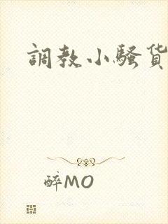 调教小骚货国产封面