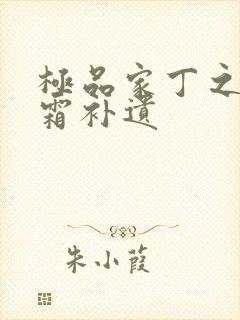 极品家丁之萧玉霜补遗