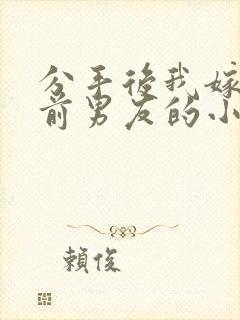 分手后我嫁给了前男友的小叔免费阅读封面