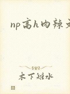 np高h肉辣文封面