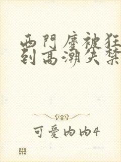 西门庆被狂c躁到高潮失禁小说封面