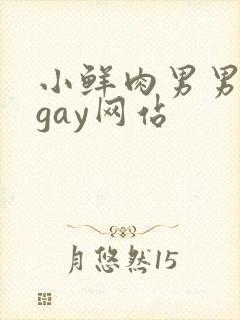 小鲜肉男男同性gay网站