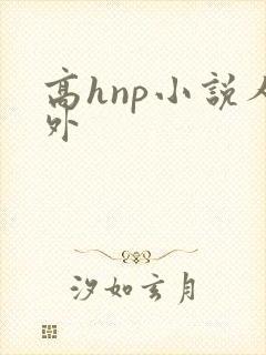 高hnp小说人外