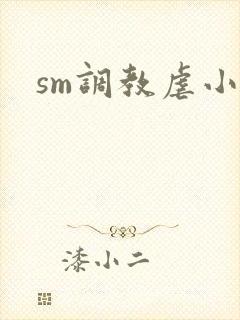 sm调教虐小说