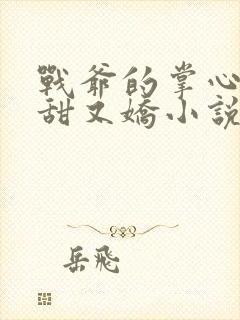 战爷的掌心宠又甜又娇小说下载txt