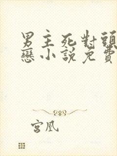 男主死对头的初恋小说免费阅读封面