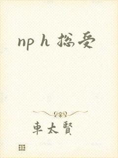 np h 总受