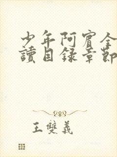 少年阿宾全文阅读目录章节