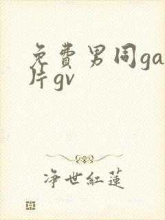 免费男同gay片gv