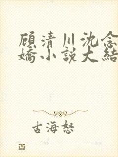 顾清川沈念李娇娇小说大结局封面
