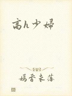 高h少妇封面