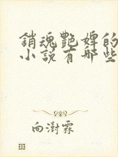 销魂艳婢的相似小说有哪些封面