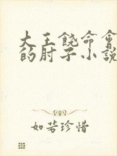 大王饶命会说话的肘子小说无删减版