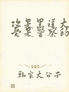 攻是黑道大佬,受是警察的小说