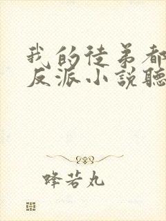 我的徒弟都是大反派小说听书