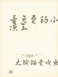 看免费的小说北凉王封面