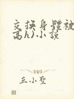 交换身体被c(高h)小说
