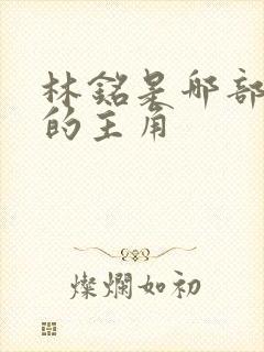 林铭是哪部小说的主角