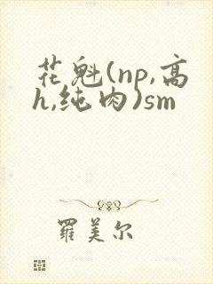 花魁(np,高h,纯肉)sm