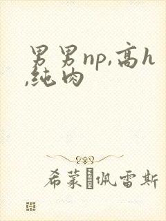 男男np,高h,纯肉