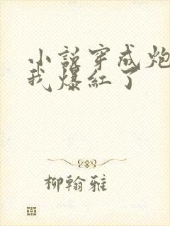 小说穿成炮灰后我爆红了