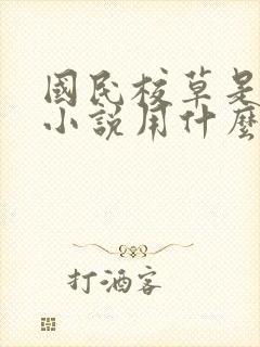 国民校草是女生小说用什么app可以免费