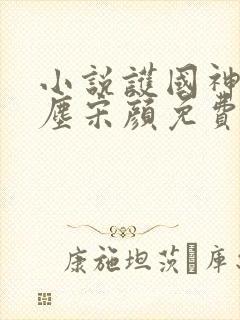 小说护国神婿楚尘宋颜免费阅读原文