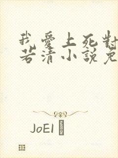 我爱上死对头裴若清小说免费阅读最