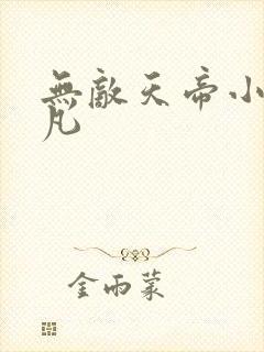 无敌天帝小说叶凡封面