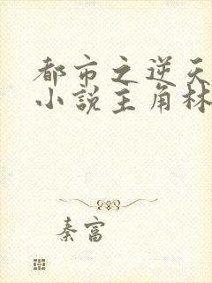 都市之逆天仙尊小说主角林凡