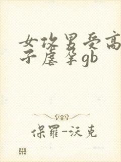 女攻男受高h生子虐孕gb