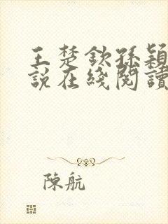 王楚钦孙颖莎小说在线阅读