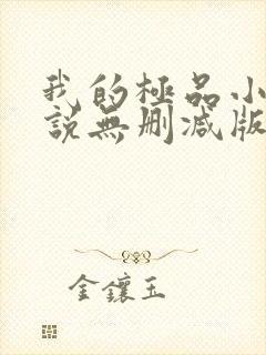 我的极品小姨小说无删减版