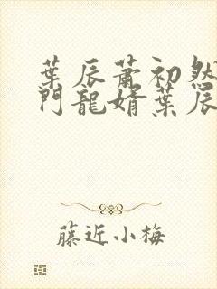 叶辰萧初然 上门龙婿叶辰大结局