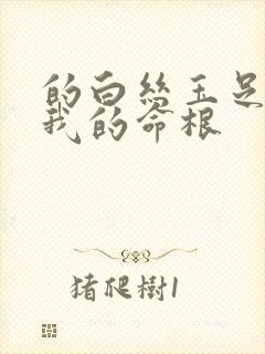 的白丝玉足夹住我的命根