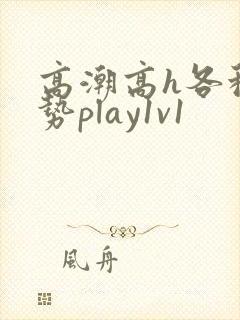 高潮高h各种姿势play1v1