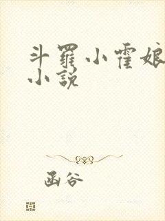 斗罗小霍娘同人小说