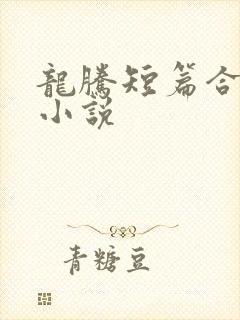 龙腾短篇合集的小说