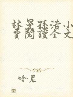 林曼孙浩小说免费阅读全文最新章节封面