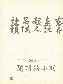 被吊起来露出奶头供人玩弄