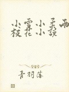 小雪小柔两个大校花小说