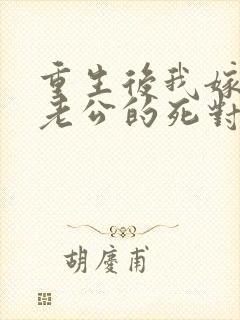 重生后我嫁给了老公的死对头 短剧