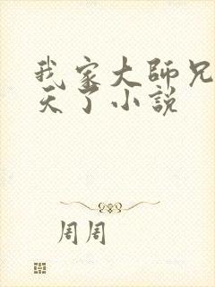 我家大师兄太逆天了小说封面